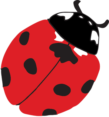 centinelle ladybug 